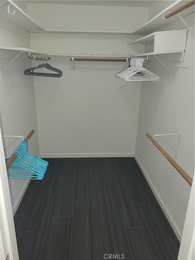 spacious closet featuring wood finish floors