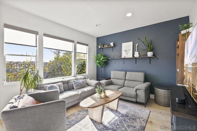 living room featuring light hardwood / wood-style floors