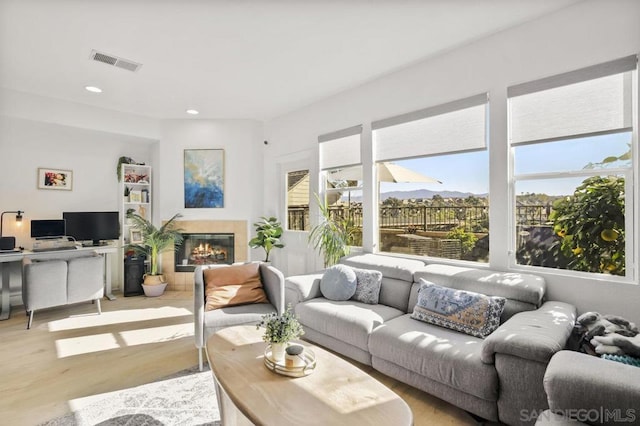 living room with light wood-type flooring