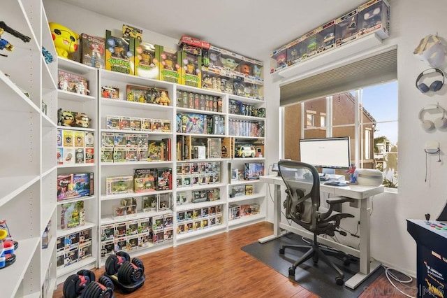 office space featuring hardwood / wood-style flooring