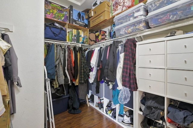 spacious closet with dark wood-type flooring