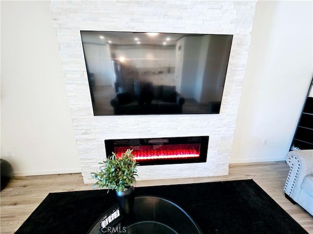 details featuring a fireplace and wood-type flooring