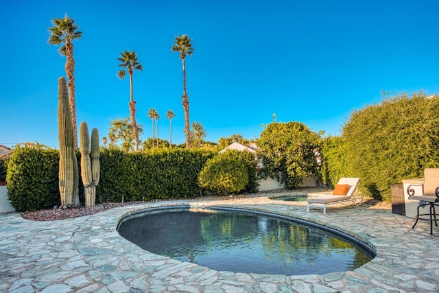 view of swimming pool with a patio