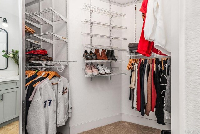 view of walk in closet