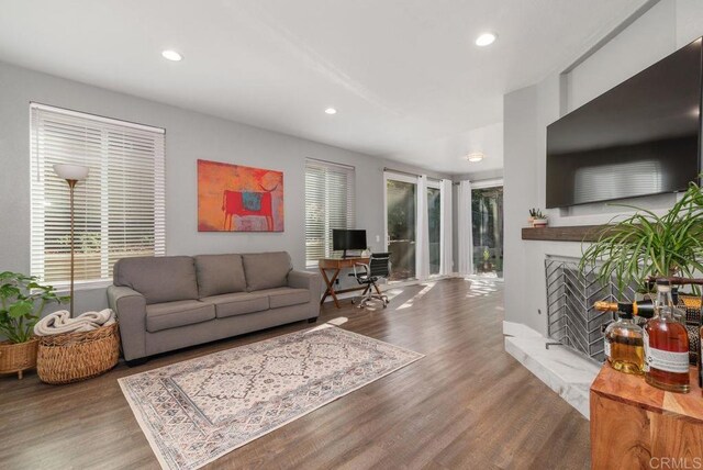 living room with dark hardwood / wood-style floors