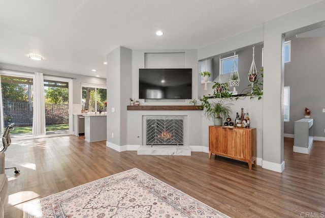 living room with hardwood / wood-style floors