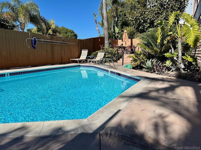 view of swimming pool with a patio area