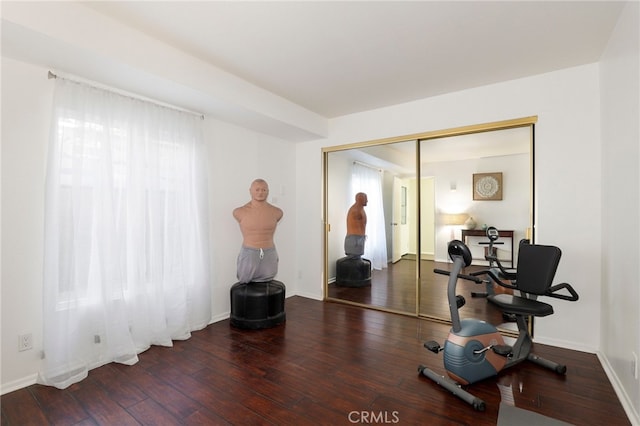 exercise room with dark hardwood / wood-style flooring and a wealth of natural light