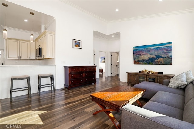 living room featuring crown molding and dark wood-type flooring