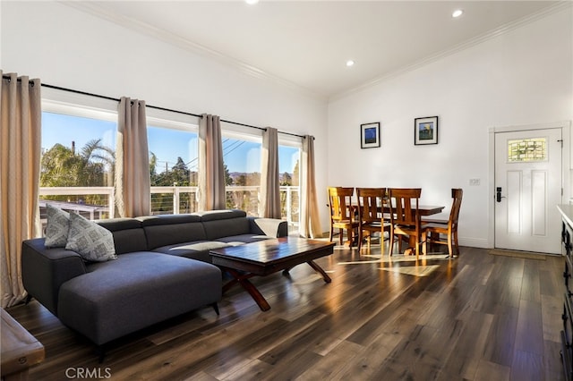 living room with crown molding and dark wood-type flooring