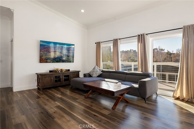 living room with crown molding and dark hardwood / wood-style floors