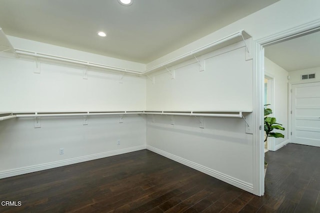 spacious closet featuring dark hardwood / wood-style floors