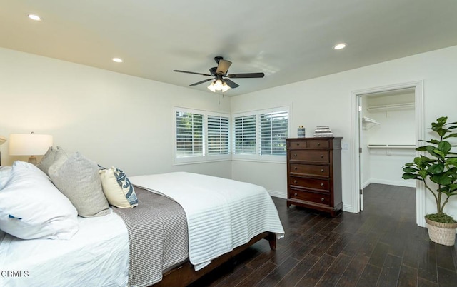 bedroom featuring ceiling fan, a walk in closet, a closet, and dark hardwood / wood-style floors