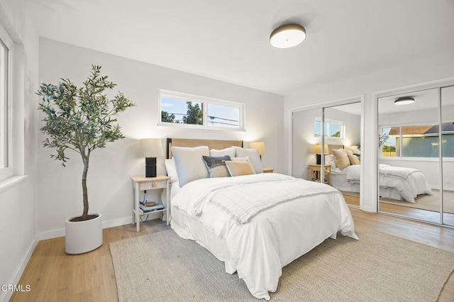 bedroom featuring wood-type flooring and multiple closets