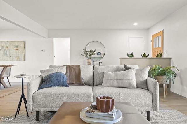 living room featuring hardwood / wood-style floors