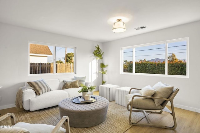 living room featuring light hardwood / wood-style floors and plenty of natural light