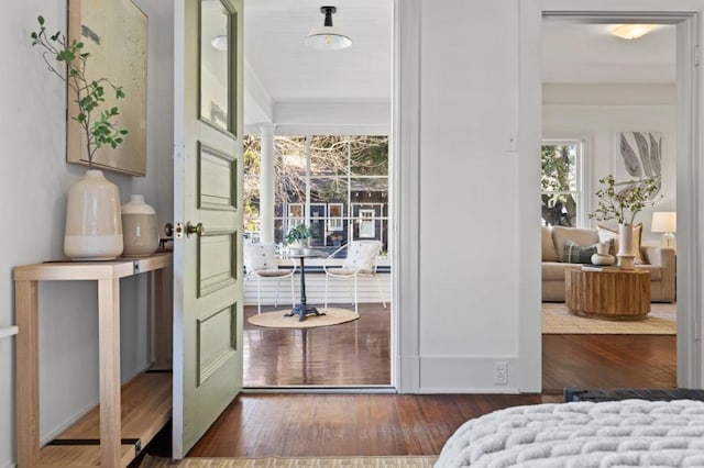 entryway with dark hardwood / wood-style flooring