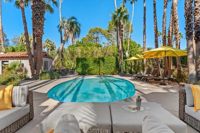 view of pool featuring an outdoor living space and a patio area