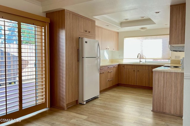 kitchen with a tray ceiling, light hardwood / wood-style flooring, a healthy amount of sunlight, and white refrigerator