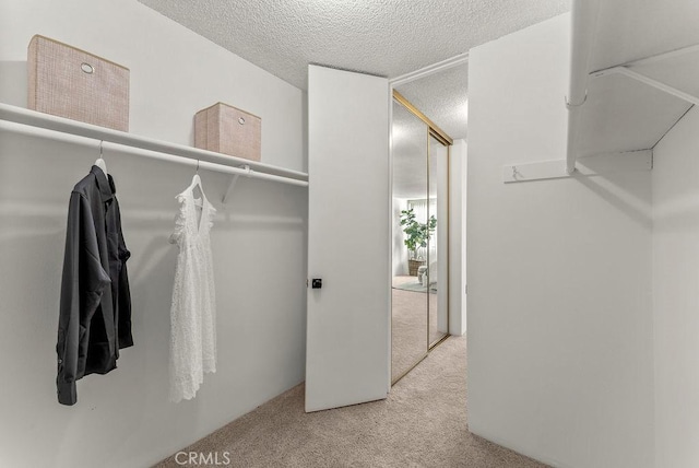 spacious closet featuring light carpet