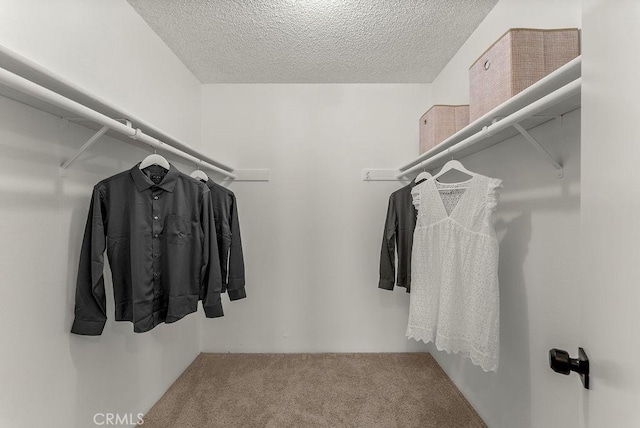 walk in closet featuring carpet