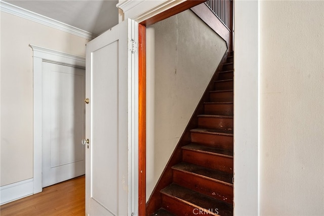 stairway featuring ornamental molding and hardwood / wood-style floors