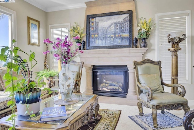 living area with crown molding and a fireplace