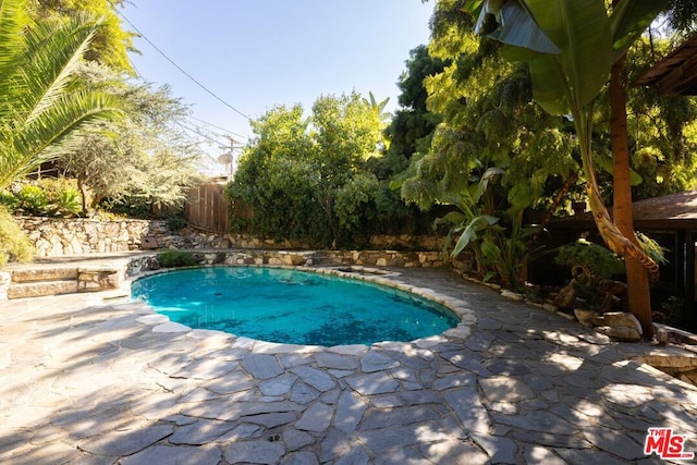 view of swimming pool featuring a patio