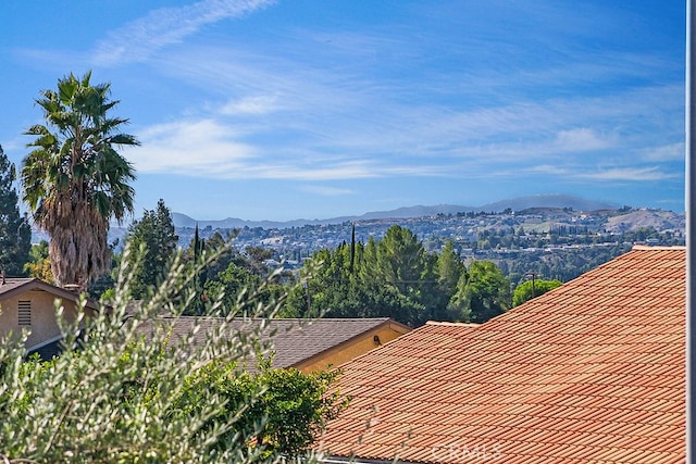 view of mountain feature