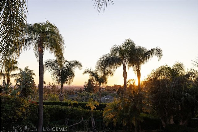 view of nature at dusk