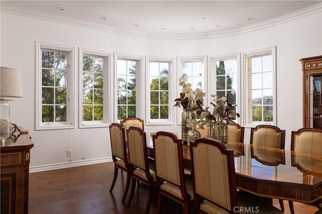 sunroom with a wealth of natural light