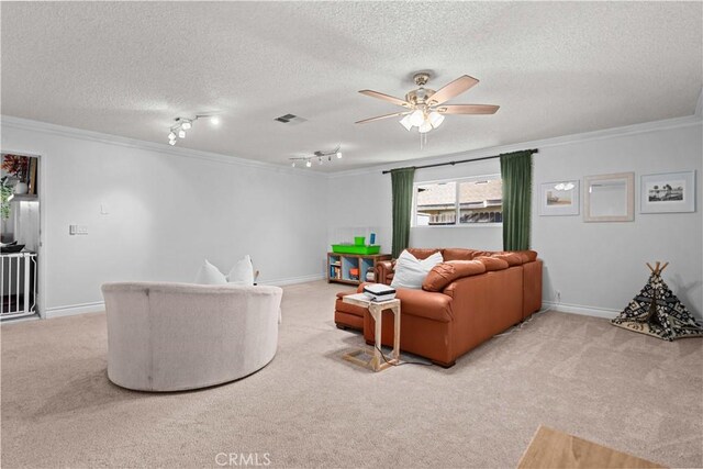 carpeted living room with rail lighting, a textured ceiling, and ornamental molding