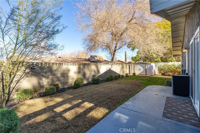 view of yard with a shed and a patio area