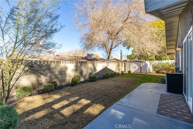 view of yard featuring a patio area and a storage unit