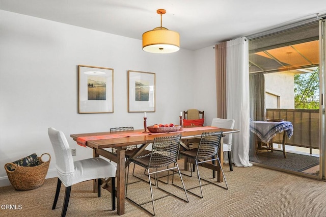 dining room with carpet