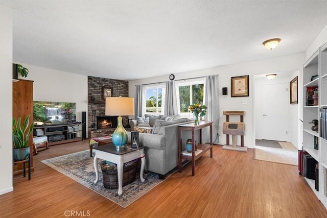 living room featuring a fireplace and wood-type flooring