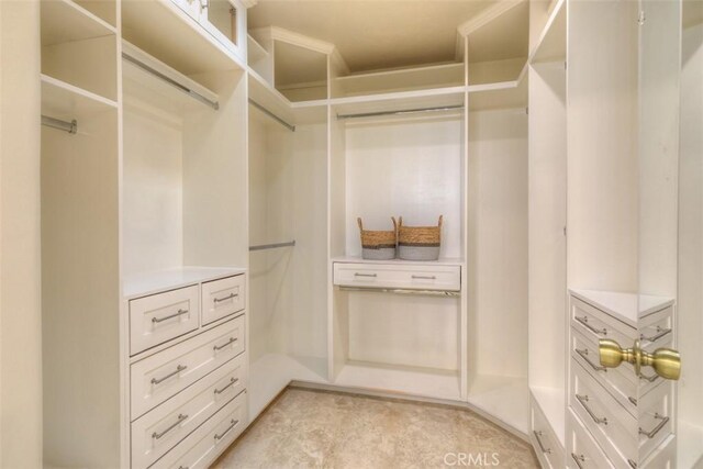view of walk in closet
