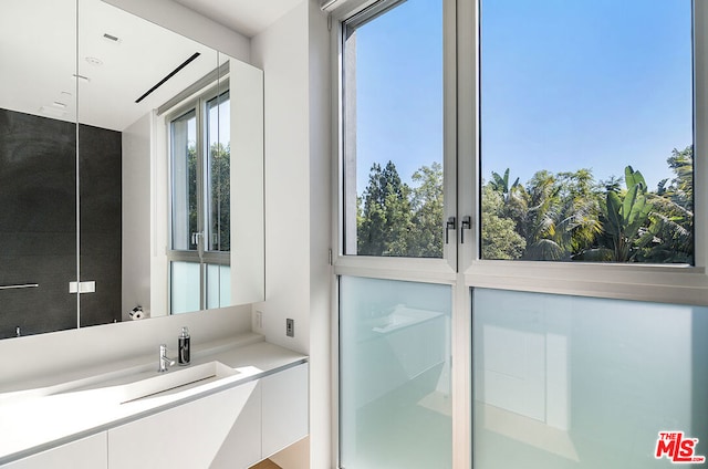 bathroom with vanity