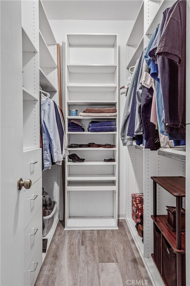 spacious closet featuring light hardwood / wood-style floors