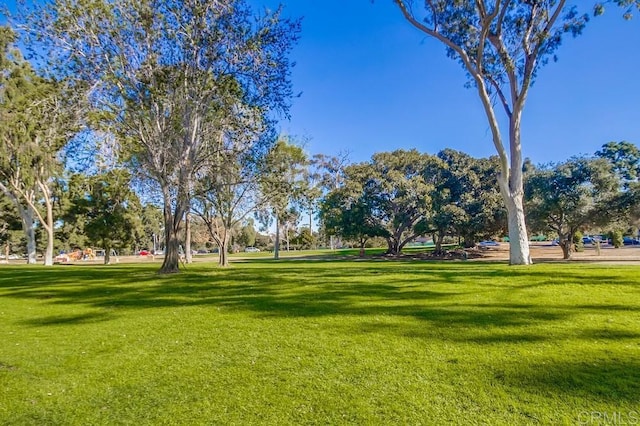 view of community featuring a yard