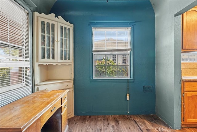 entryway featuring dark wood-type flooring