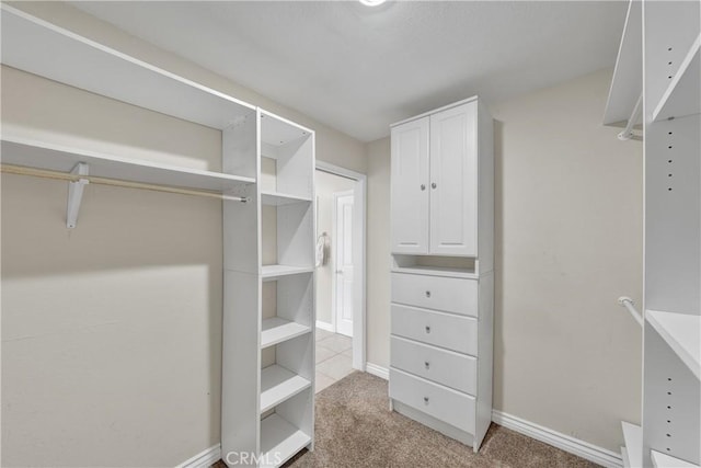 walk in closet with carpet floors