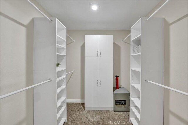 spacious closet with light carpet