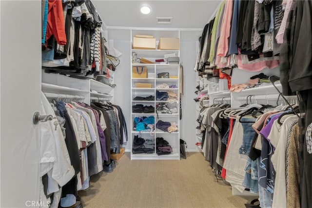 walk in closet featuring light colored carpet