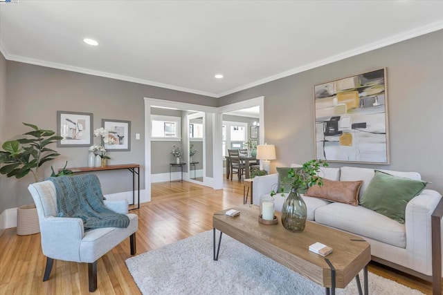 living room featuring light hardwood / wood-style floors and crown molding