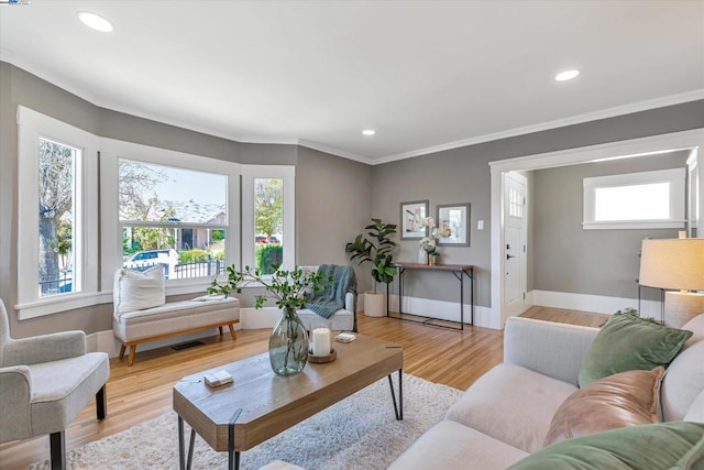 living room featuring ornamental molding and light hardwood / wood-style floors