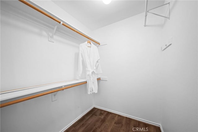 walk in closet with dark hardwood / wood-style floors