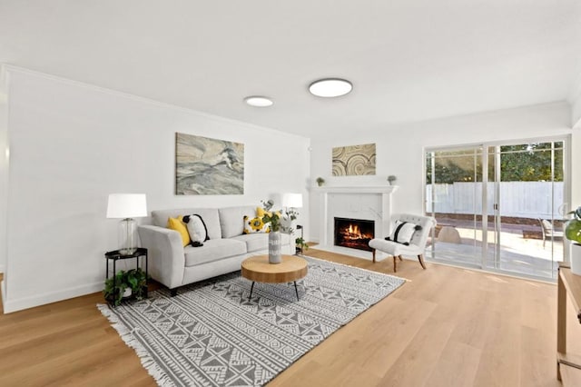 living room featuring hardwood / wood-style floors