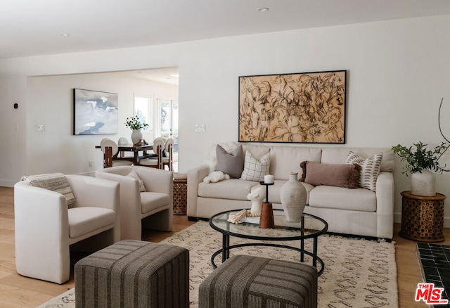 living room with light wood-type flooring