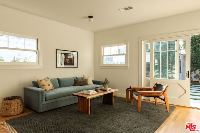 living room featuring wood-type flooring